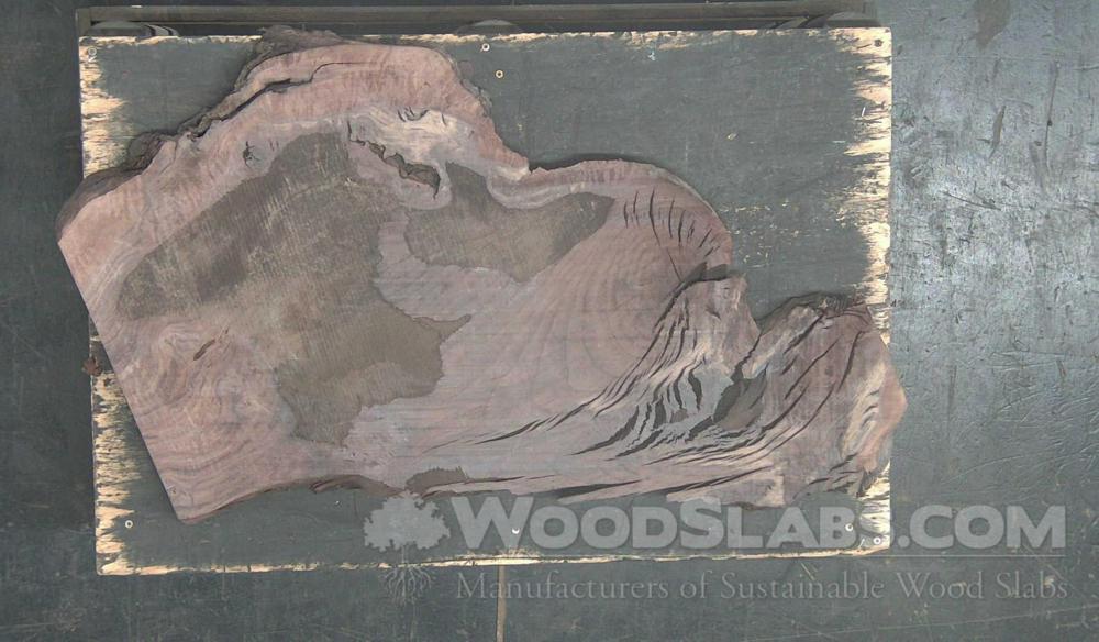 Claro Walnut Wood Slab #724-S6S-93XD