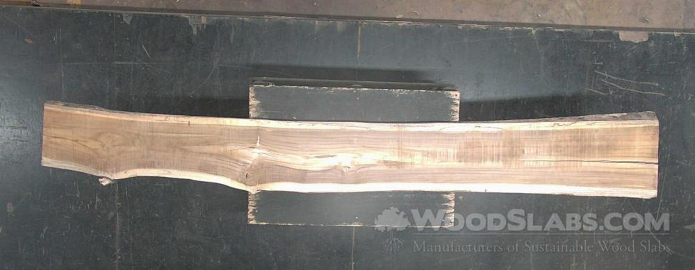 Latin Teak Wood Slab #9NE-P0C-G1N5