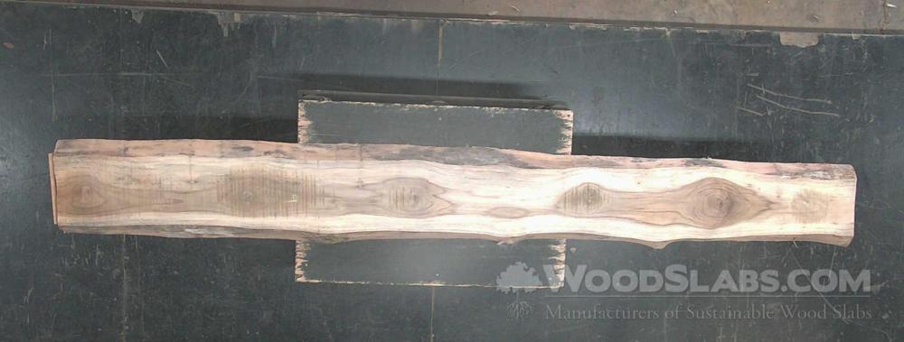 Latin Teak Wood Slab #9H1-2MQ-VRLU