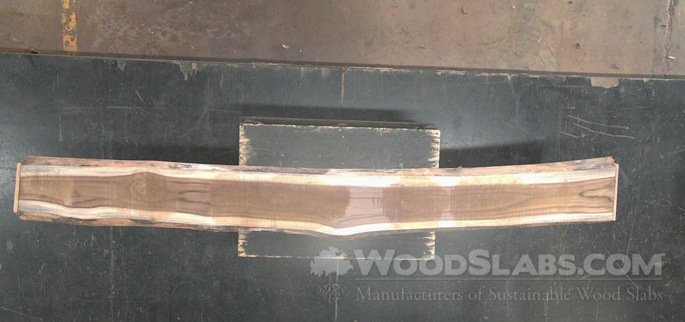 Latin Teak Wood Slab #7MF-07J-FQ6M