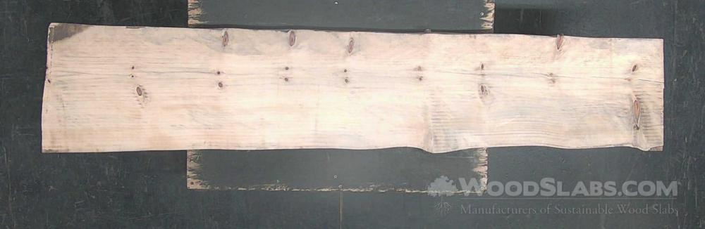 Norfolk Island Pine Wood Slab #SX2-5RY-QAYS