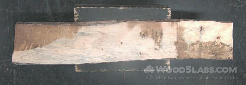 Norfolk Island Pine Wood Slab #PJO-CSR-DE0U