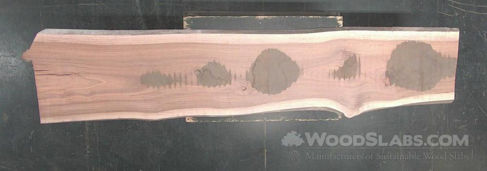 Eucalyptus Wood Slab #JYF-3I4-NZ3D