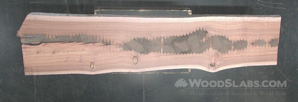 Eucalyptus Wood Slab #SAI-DQ6-VTWL
