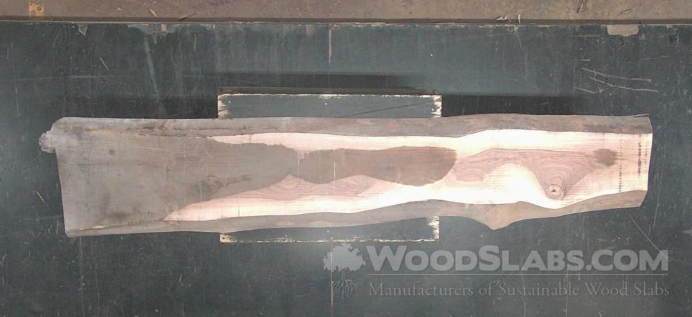 Eucalyptus Wood Slab #RAZ-PBY-DRCD