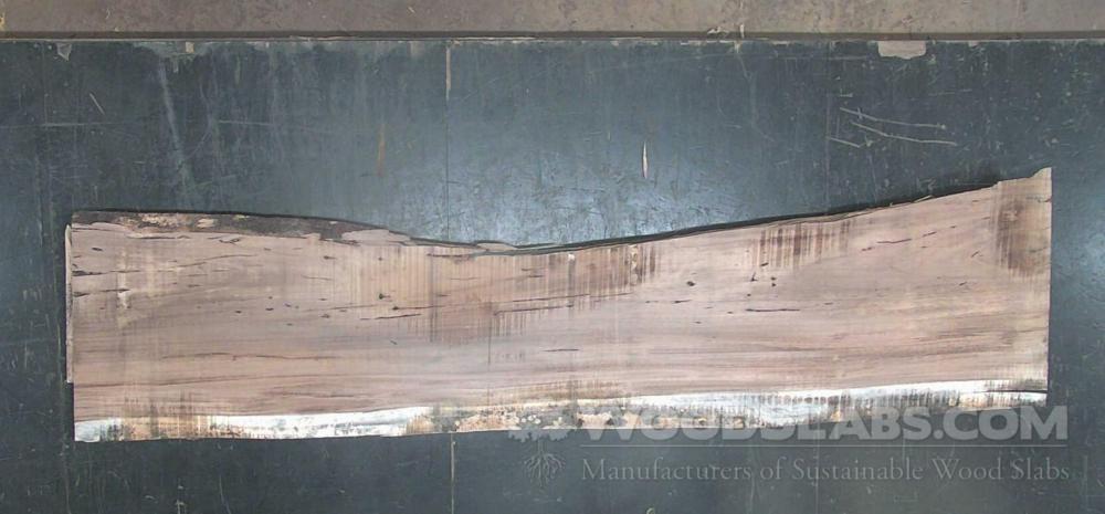 Parota Wood Slab #P52-5L3-G4JH