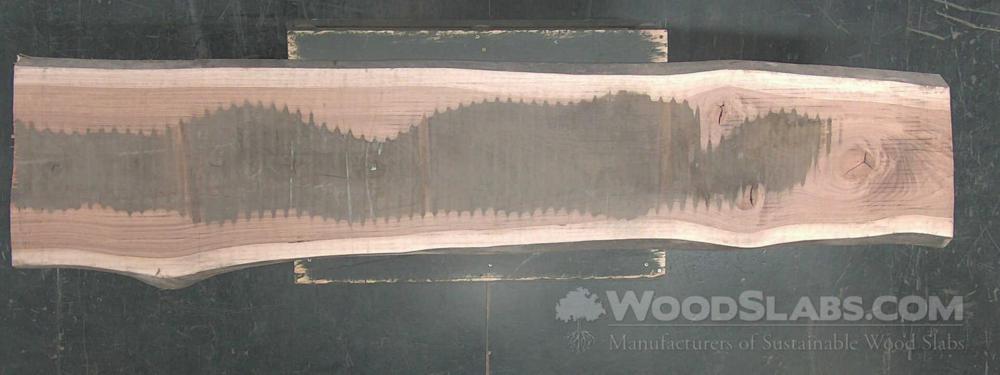 Eucalyptus Wood Slab #ZGH-K7U-0DQ1