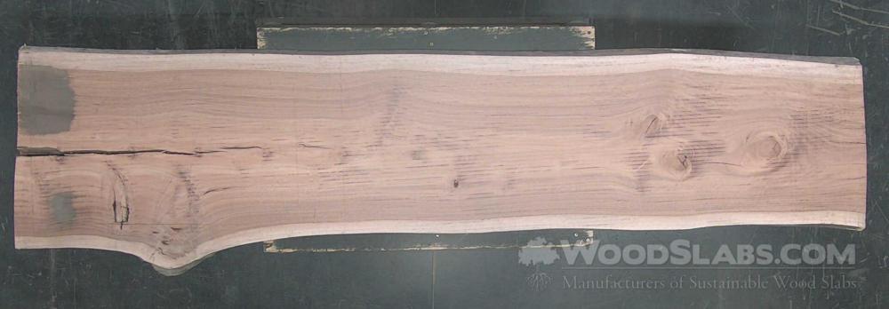 Eucalyptus Wood Slab #XOT-WDN-O7MP