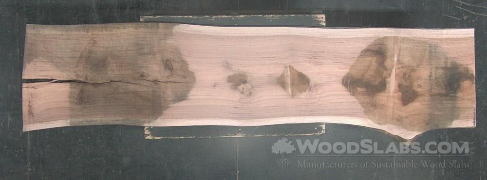 Eucalyptus Wood Slab #SD2-X3R-1HGV