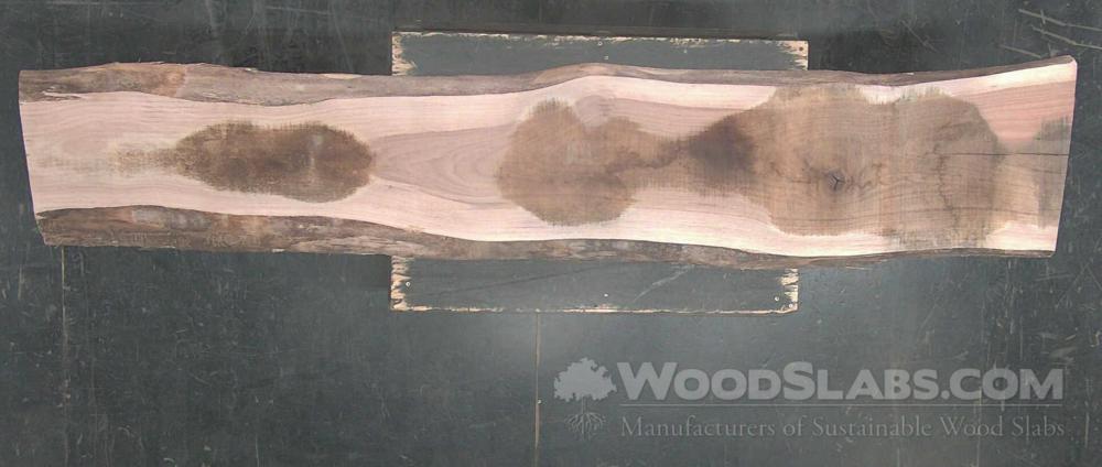 Eucalyptus Wood Slab #291-MRL-XEE4