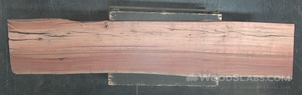 Eucalyptus Wood Slab #EQ4-LFQ-06NO