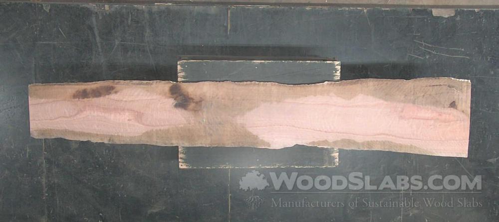 Eucalyptus Wood Slab #BSR-E74-25IQ