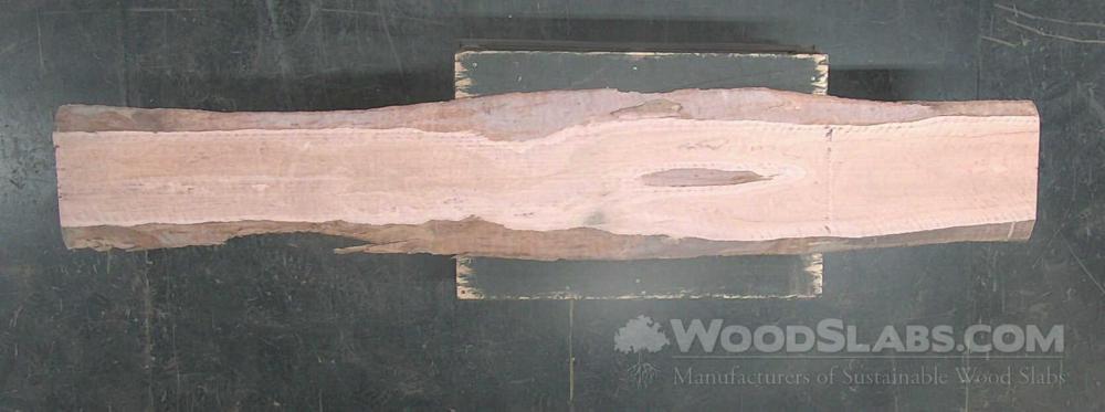 Eucalyptus Wood Slab #R7C-E3B-5SR8
