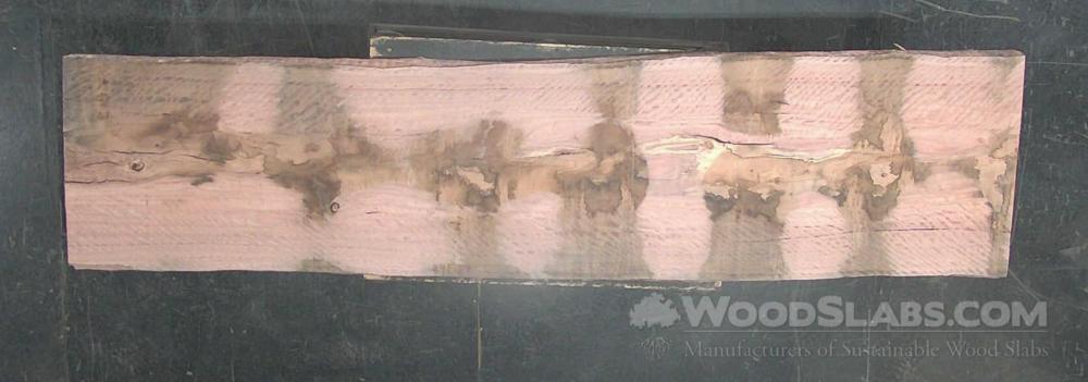 Eucalyptus Wood Slab #K7A-F9X-M309