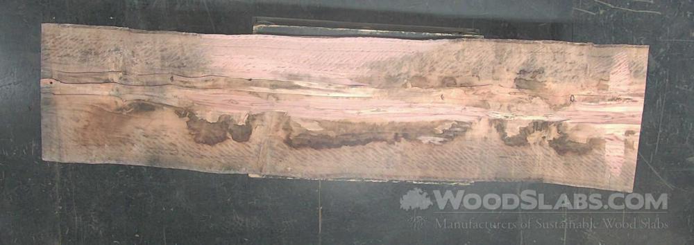 Eucalyptus Wood Slab #COM-TV7-ILDO