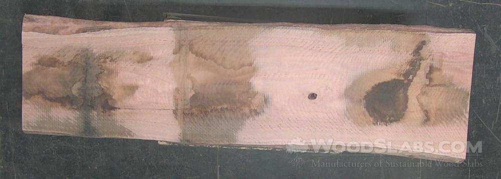 Eucalyptus Wood Slab #UWG-RUJ-DN0Q