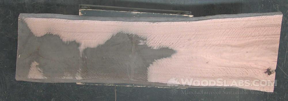 Eucalyptus Wood Slab #5ED-685-4MWS