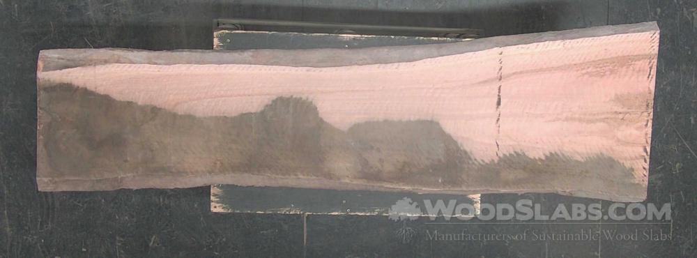 Eucalyptus Wood Slab #L8K-6AZ-KY64