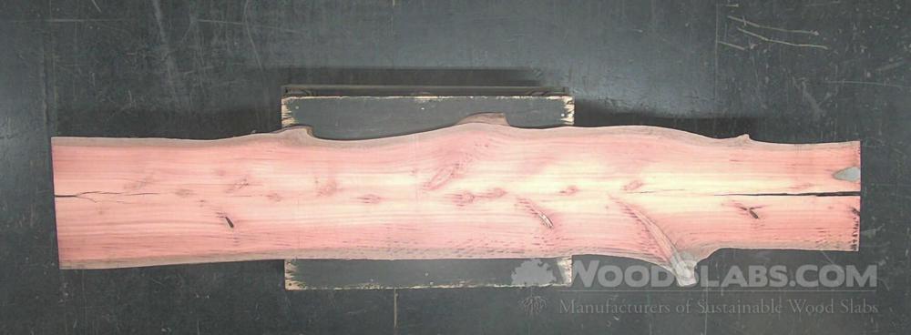 Eucalyptus Wood Slab #W2S-WTJ-8AU2