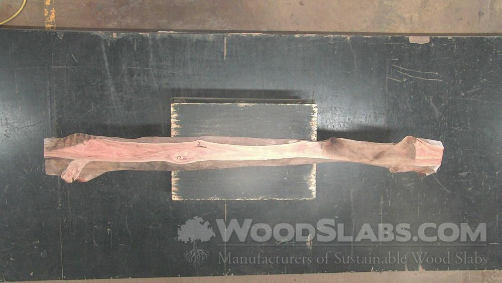 Eucalyptus Wood Slab #0NG-OKY-UNL9