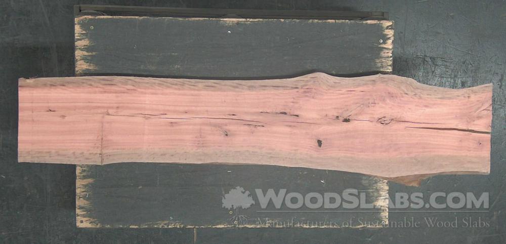 Eucalyptus Wood Slab #M5B-33F-V61Z