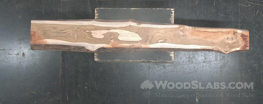 Miscellaneous Wood Slab #B4F-6CV-004L