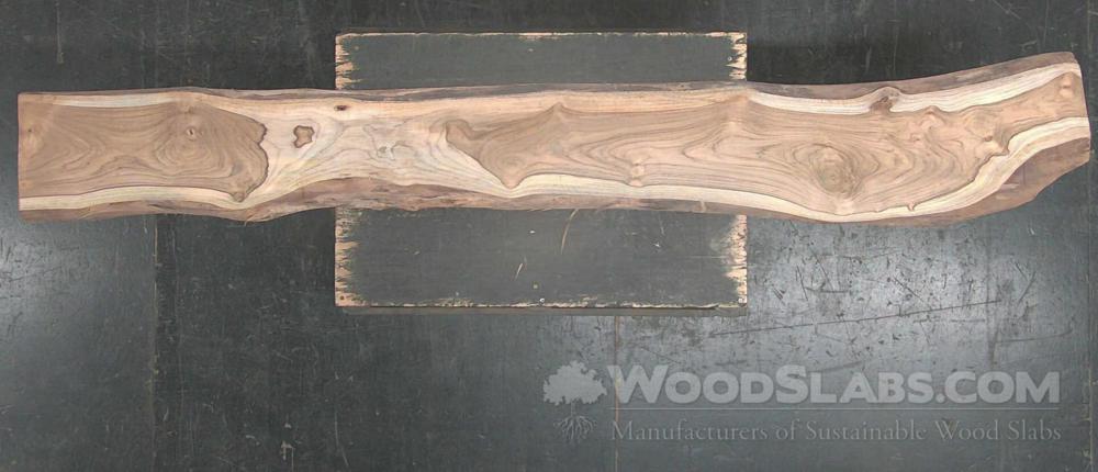 African Teak Wood Slab #Z0K-891-TCDT