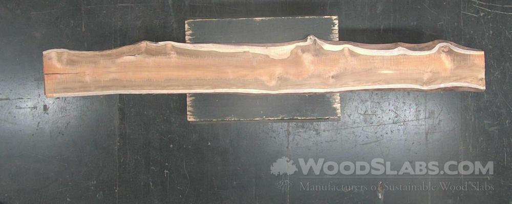 African Teak Wood Slab #PPC-GKM-KRCL