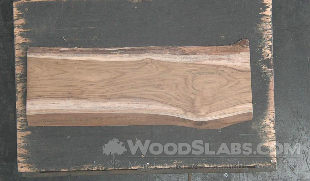 African Teak Wood Slab #3P7-SLQ-GAMW