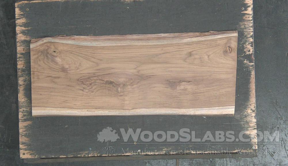 African Teak Wood Slab #32Z-11H-M7R4
