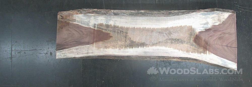 Parota Wood Slab #PXP-E71-JG2K