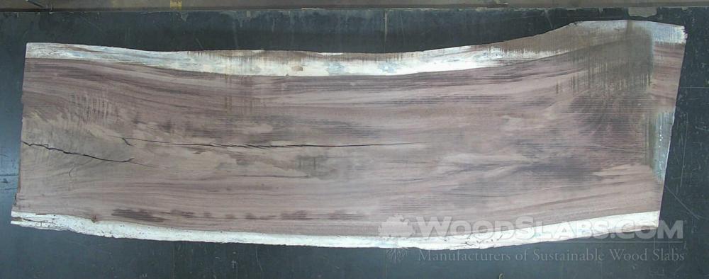 Parota Wood Slab #DXK-MNX-75YI
