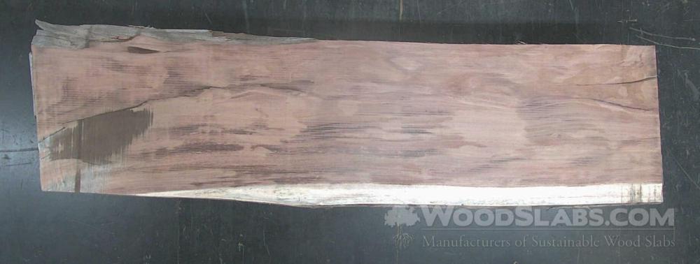 Parota Wood Slab #QMJ-B8K-BF3T