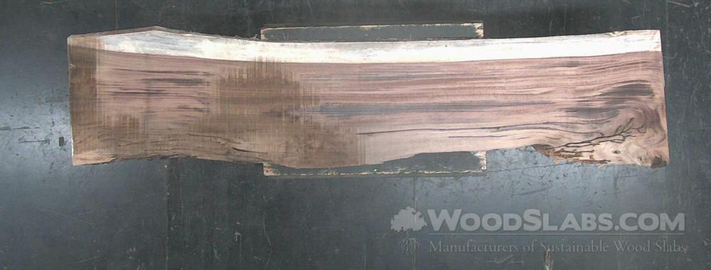 Parota Wood Slab #UON-WSH-HXON