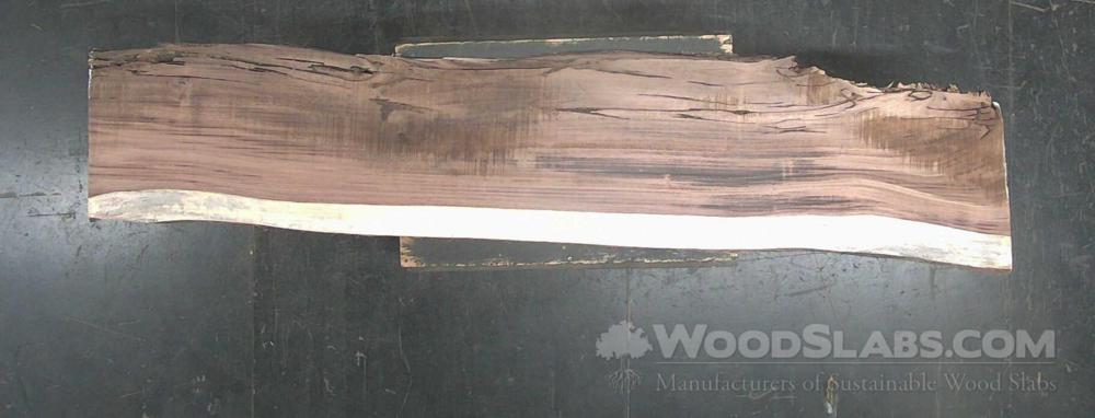 Parota Wood Slab #ZZO-KMA-UTHU