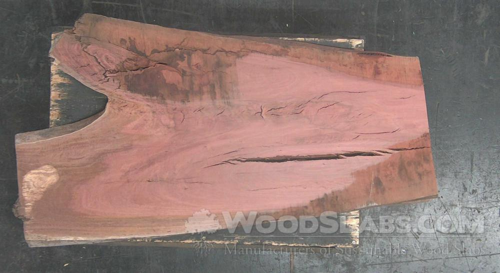 Eucalyptus Wood Slab #Q78-IJF-C580
