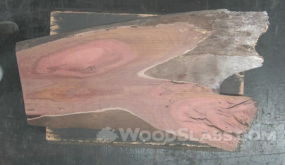 Eucalyptus Wood Slab #8AU-M3Y-7JGR