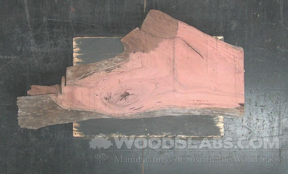 Eucalyptus Wood Slab #CJO-BRN-O3HI