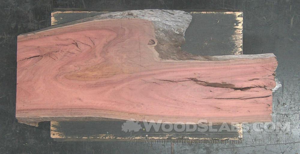 Eucalyptus Wood Slab #B38-AMV-P57W