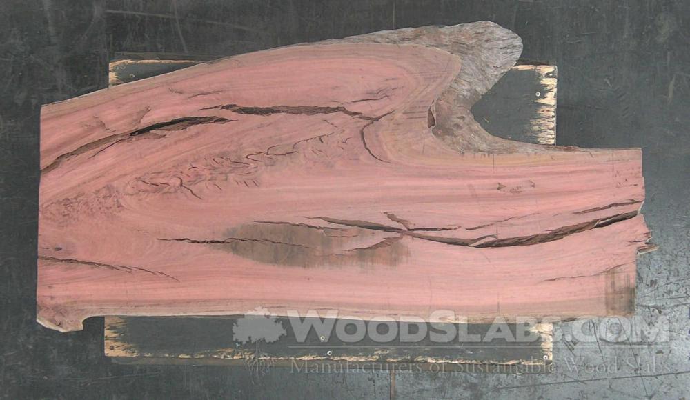 Eucalyptus Wood Slab #PH8-0R3-GXTK