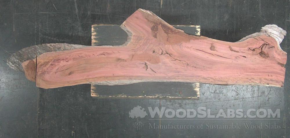Eucalyptus Wood Slab #BFO-YHU-7665