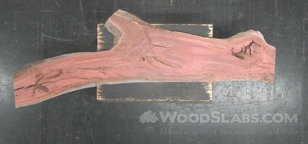 Eucalyptus Wood Slab #ZG3-BWE-5H7K