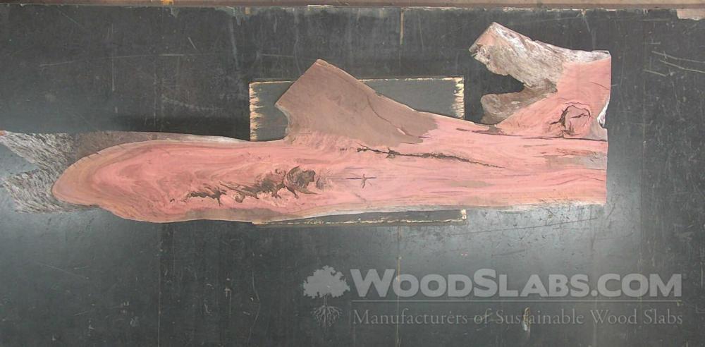 Eucalyptus Wood Slab #0PD-HA3-4LT3