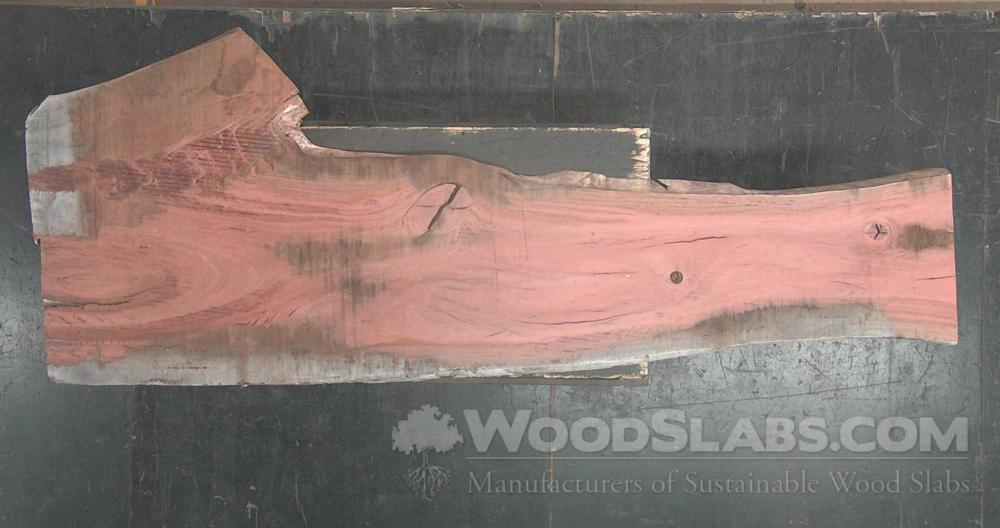 Eucalyptus Wood Slab #0CA-JR1-L1XP