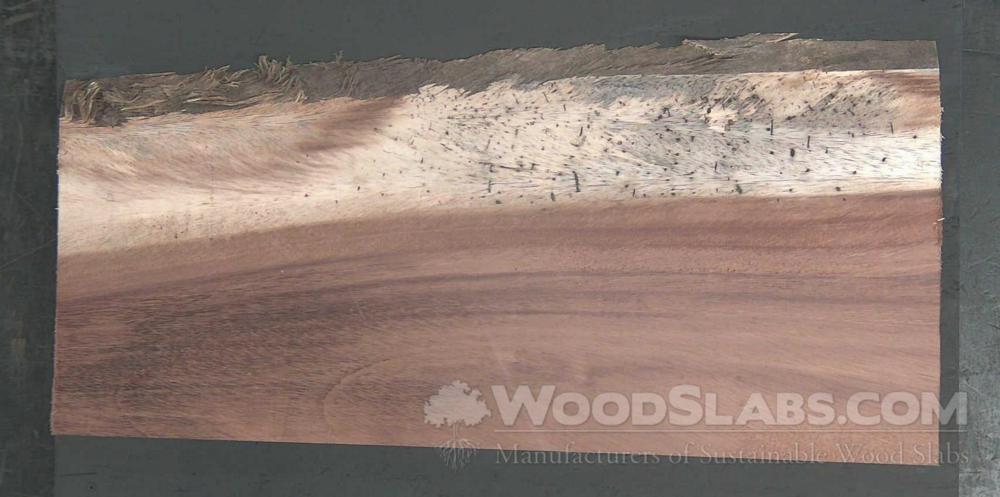 Parota Wood Slab #8QC-QIM-QC6I