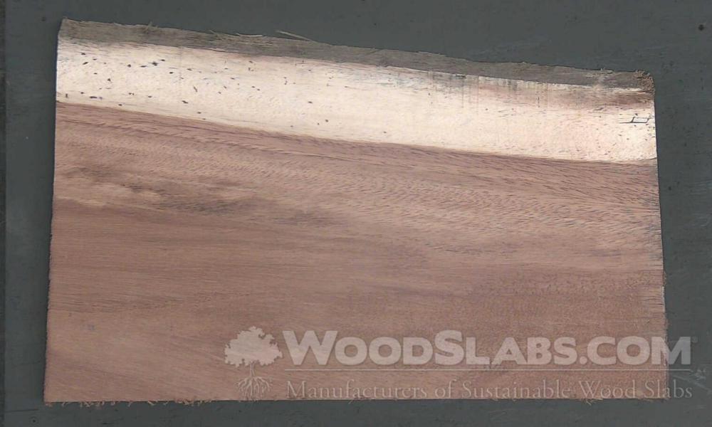 Parota Wood Slab #FCV-ESN-41TL
