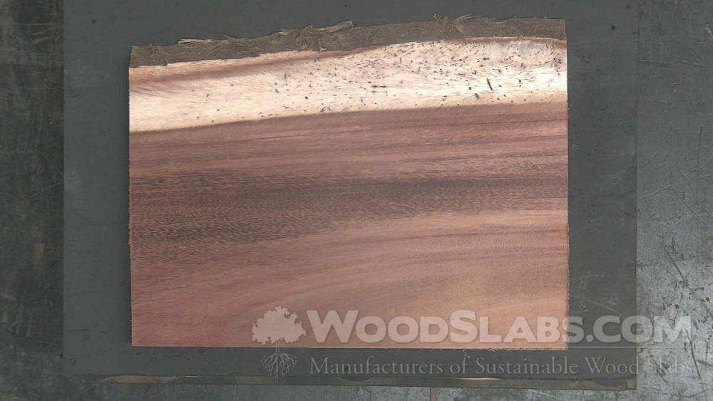 Parota Wood Slab #B3X-3BD-4B8S