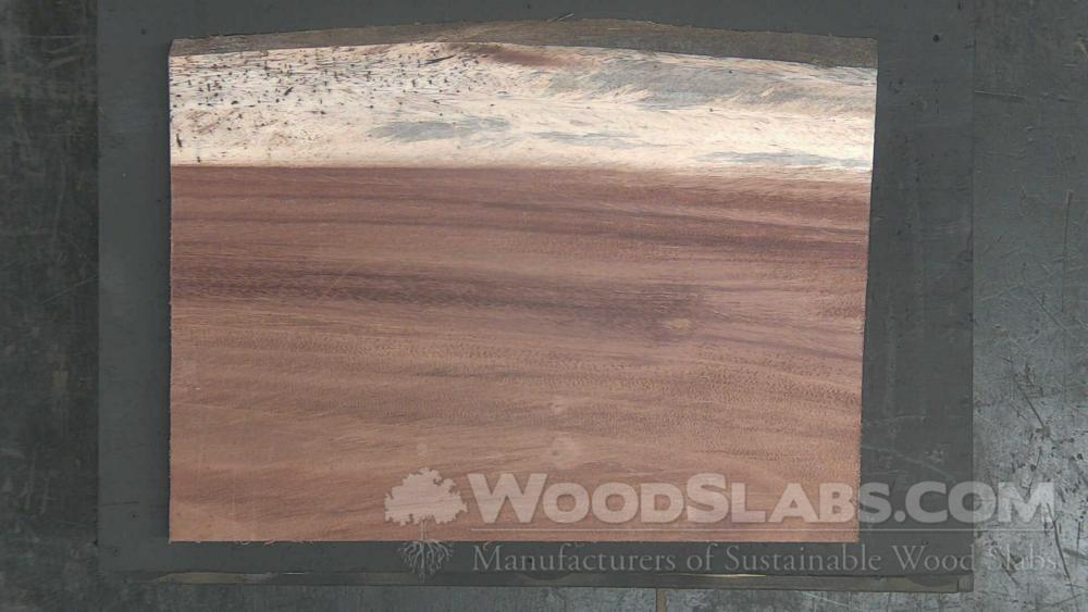 Parota Wood Slab #6W3-QX1-8NQ0