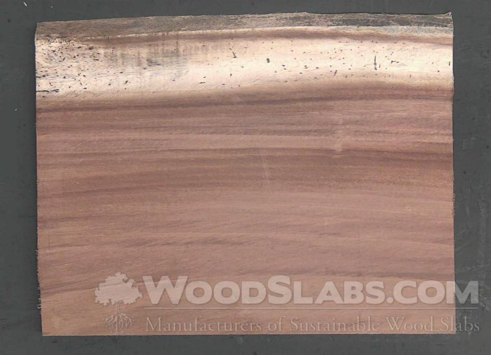 Parota Wood Slab #Z9J-5V7-CB8F