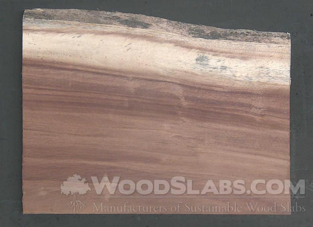 Parota Wood Slab #RUX-6R1-MGEW